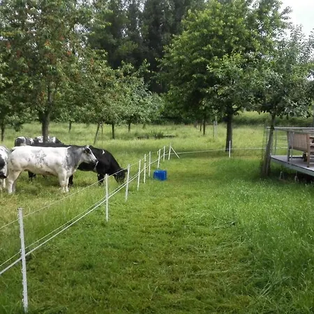 Boomgaardvakanties Ferienhaus